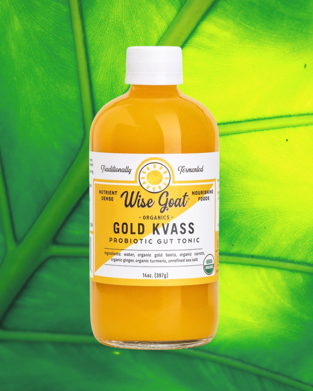 Gut tonic GOLD KVASS
