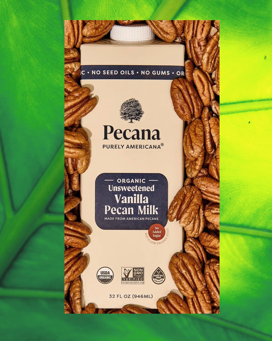 Pecana Vanilla unsweet milk