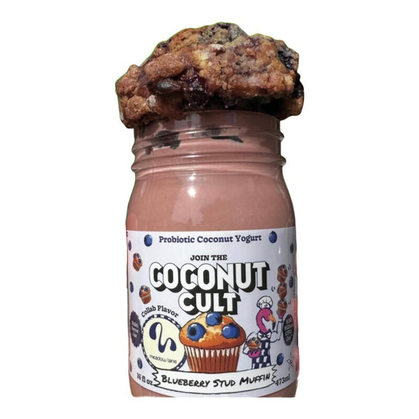 Coconut cult - Blueberry stud - white background